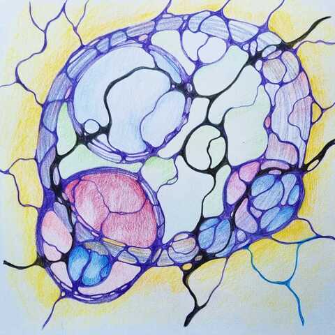 Neurografica Modul NeuroSinteza Xeral 2