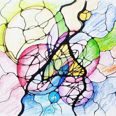 Utilizator NeuroGrafica Xeral
