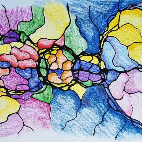 Neurografica Modul NeuroSinteza Xeral 10