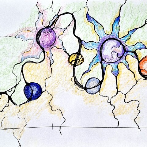 Neurografica Modul NeuroTiming Xeral 1